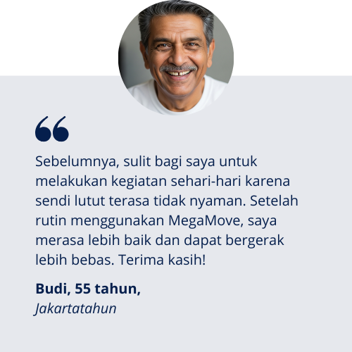 Testimoni Budy MegaMovi