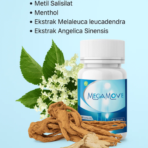 bahan-bahan megamove (1)